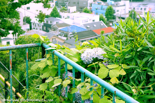 20100707_DSC00433.jpg