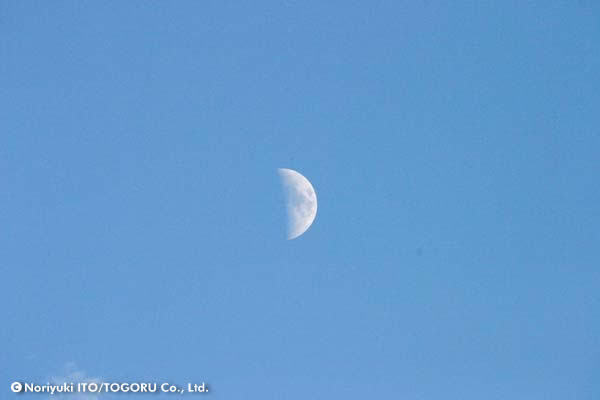 aftermoon.jpg